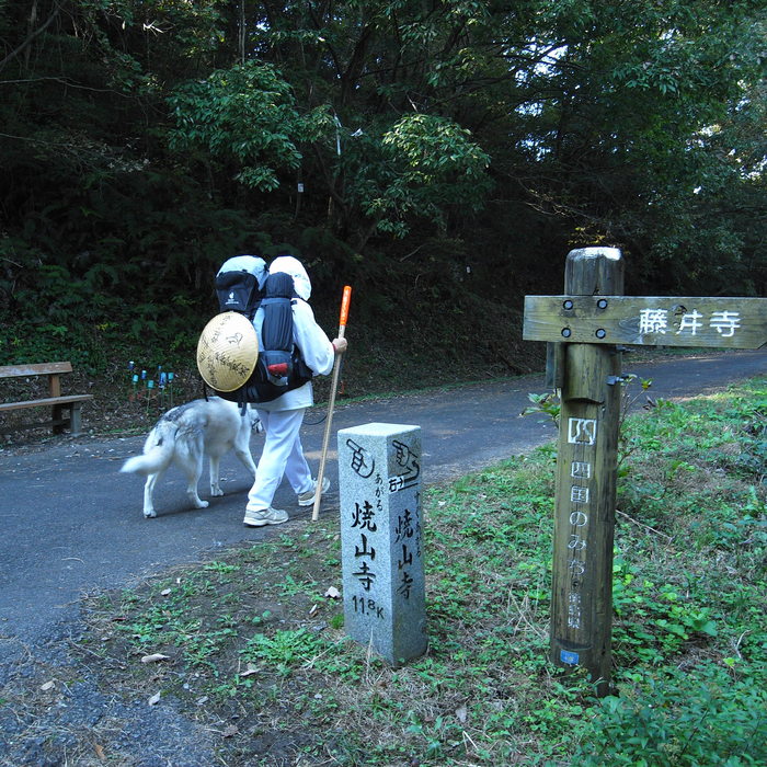 Memory of the second pilgrimage　1200km with husky HANA_c0049299_2075692.jpg