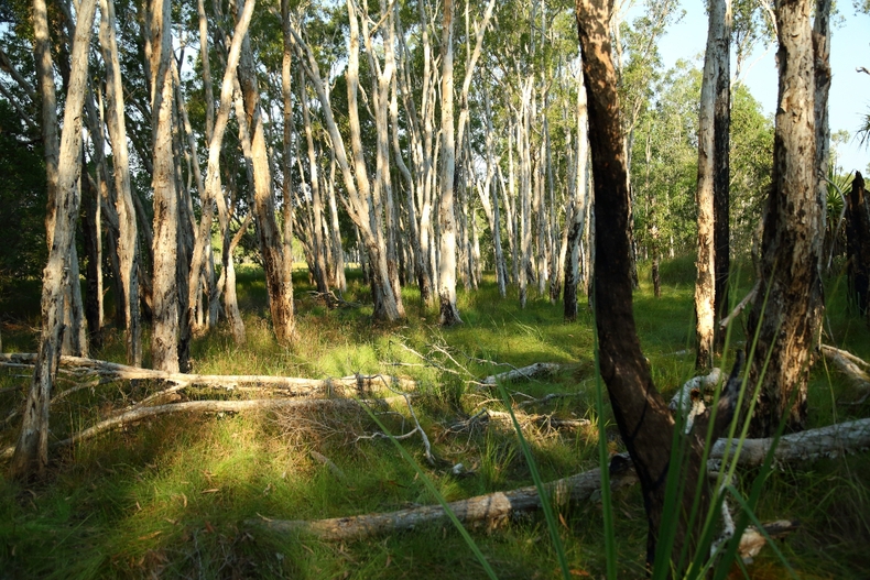 c0248100_057163.jpg