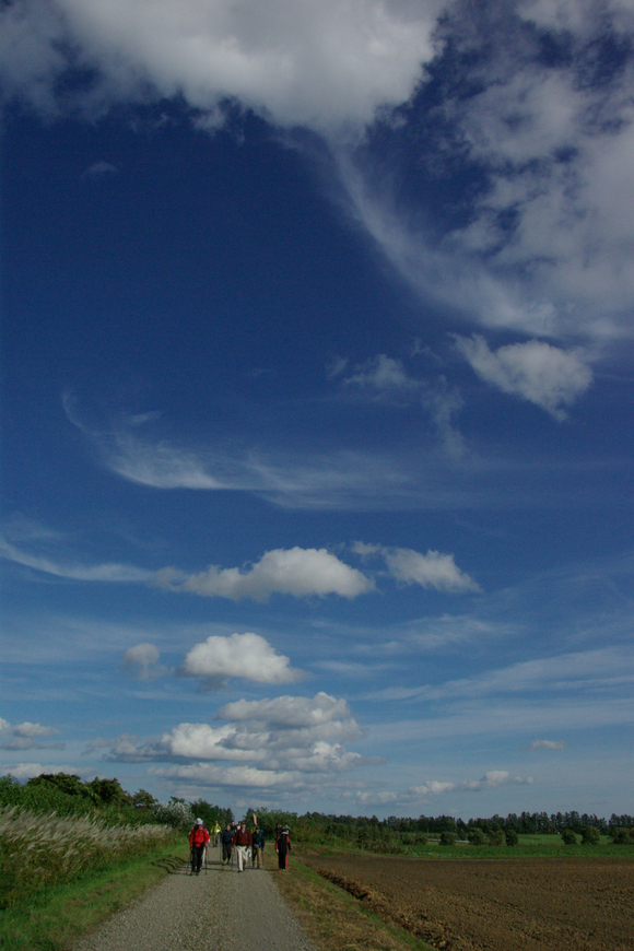c0223508_1224727.jpg