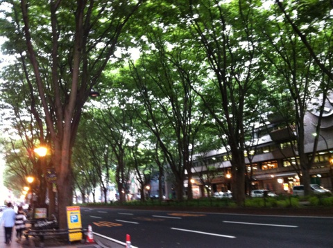 c0180209_948179.jpg