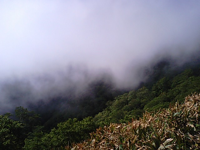 西日本一の最高峰・霊峰石鎚山の御山開き/no4…2013・7・1_f0231709_93465.jpg