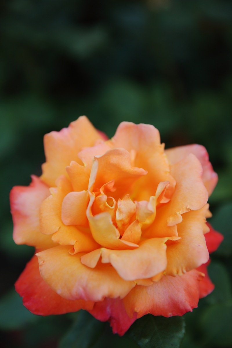 c0249519_8321785.jpg