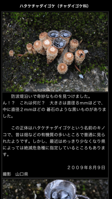 e0276823_2123992.png