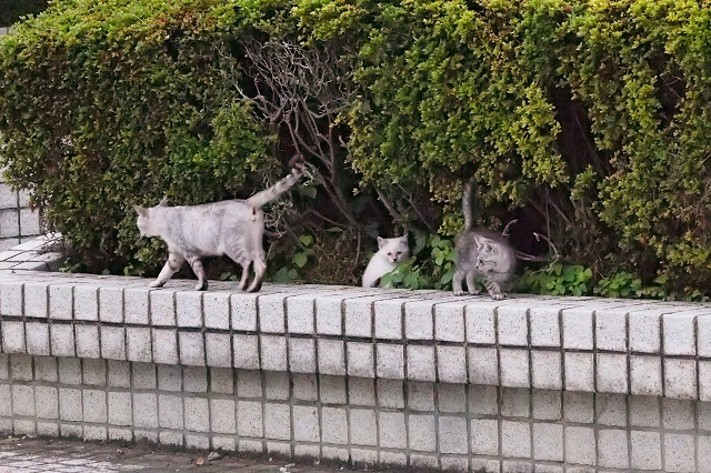 f0214527_10342418.jpg