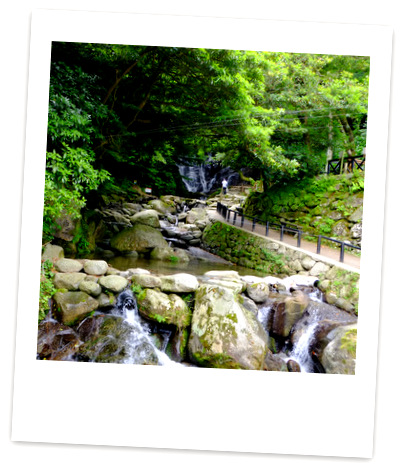 「福岡・糸島　白糸の滝」_a0000029_14235254.jpg