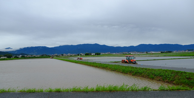「福岡県糸島市へ行ってきました!」_a0000029_16115922.jpg