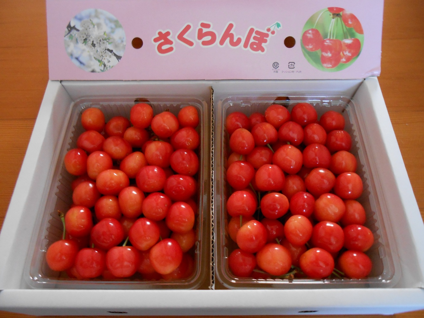 a0099131_1703156.jpg