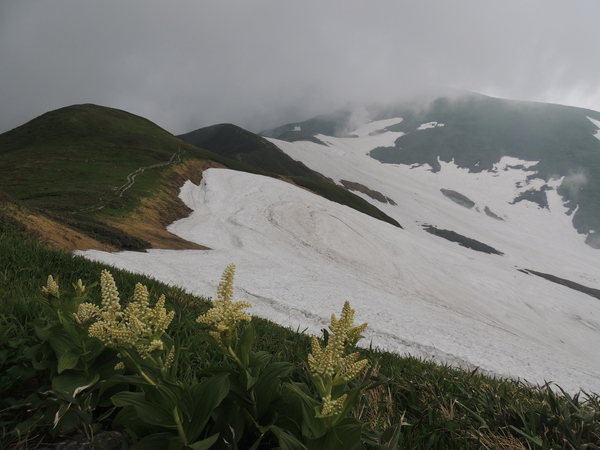 月山夏山開き_f0118332_22193075.jpg