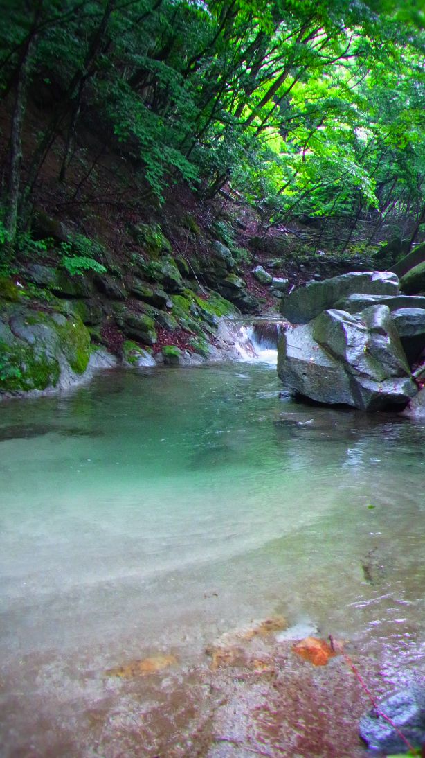 桂川水系M川釣行 その2_c0149633_2024248.jpg