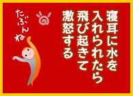 めずらしい花？_e0097534_11243535.gif