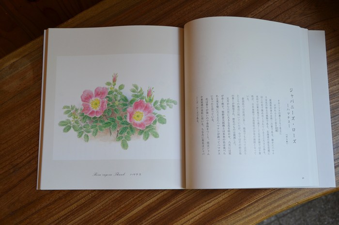 謹呈 たんね 親方のひとり言 謹呈 たんね 親方のひとり言