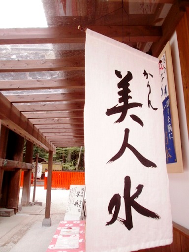 美麗祈願@河合神社_e0108851_2152647.jpg
