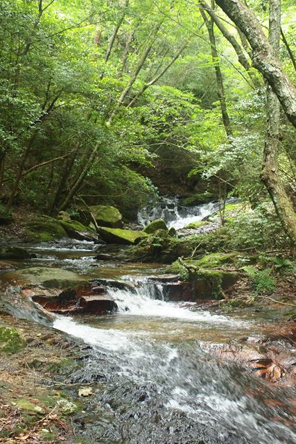 逢山峡~長尾谷~古寺山_b0227552_18402249.jpg