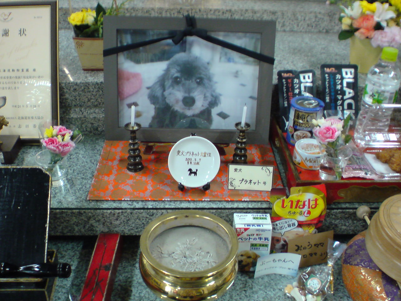 c0239954_8264.jpg