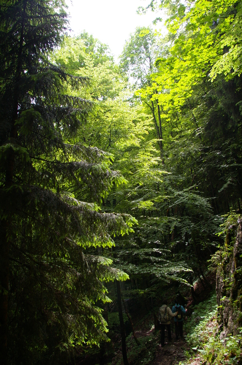 b0175255_18399.jpg