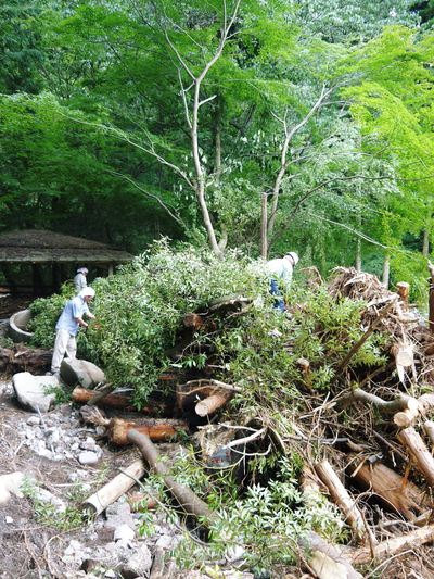 7.12北部九州大水害からまもなく1年・・・_a0254656_16553825.jpg