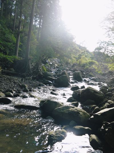 7.12北部九州大水害からまもなく1年・・・_a0254656_17434826.jpg