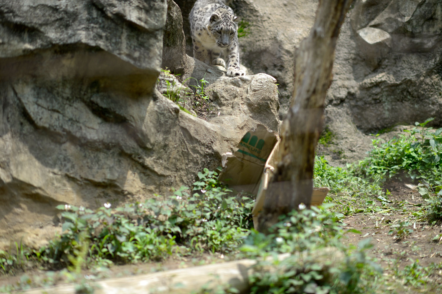 b0023856_715065.jpg