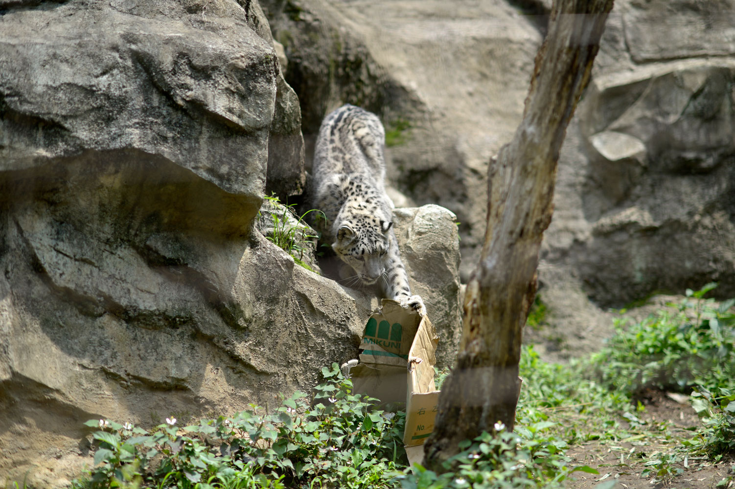 b0023856_72094.jpg