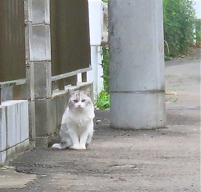 鈍感です_c0260460_8342237.jpg