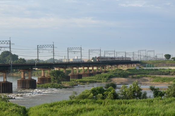 早朝散歩 流れ橋2_e0164563_12121150.jpg