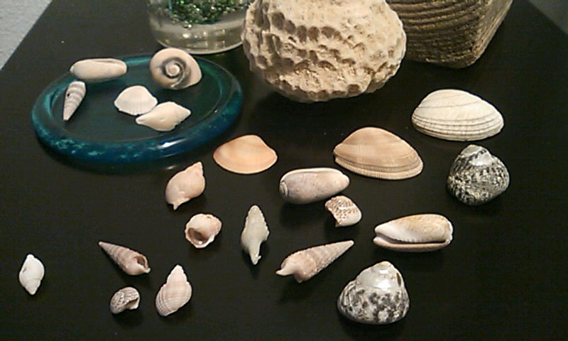 b0242064_20535695.jpg