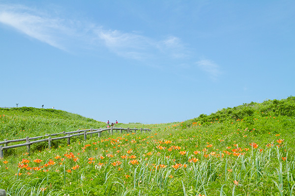 小清水原生花園　2013/6/29_f0054366_13522572.jpg