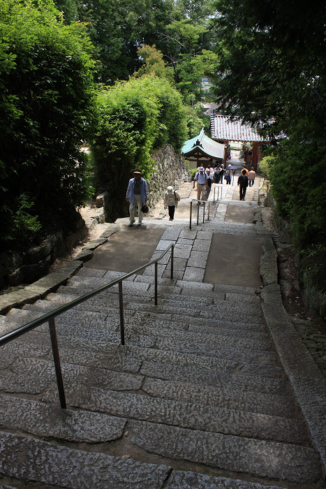 紫陽花の寺　～奈良　矢田寺～_b0050968_22152417.jpg