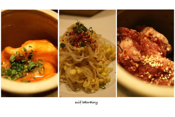 ホタルを探しに… 2013_c0156468_1735786.jpg