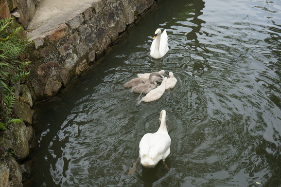 b0244372_14139100.jpg