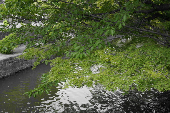 b0244372_1435658.jpg