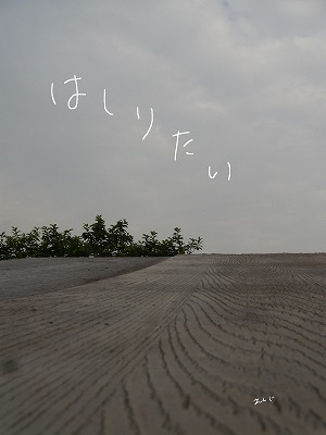 梅雨には梅雨のものを！_d0165772_2058667.jpg