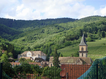 a0184173_630118.jpg
