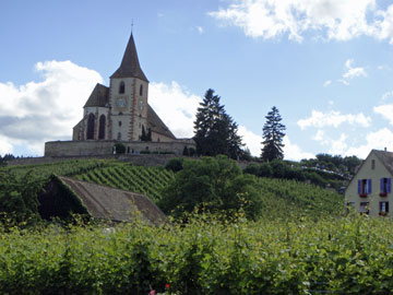 a0184173_6305177.jpg