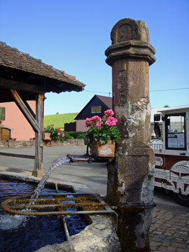 a0184173_631221.jpg
