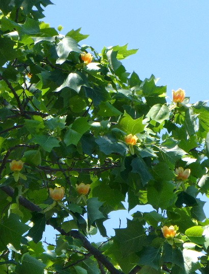 d0084473_22302166.jpg