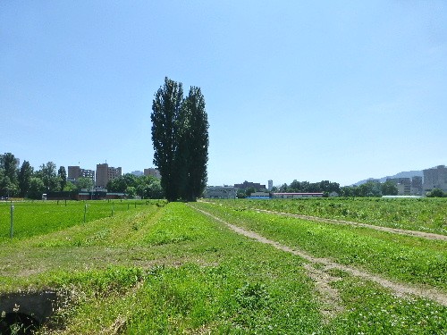 d0084473_22303064.jpg