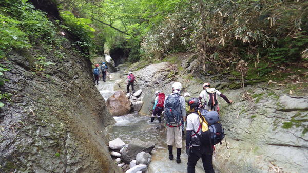 鷲別来馬川・裏沢～鷲別岳（通称・室蘭岳、911㍍）～滝沢=2013年６月２９日_a0141678_1581517.jpg