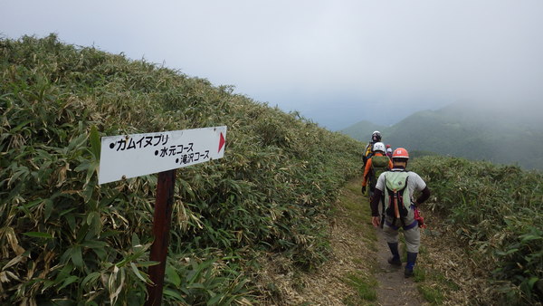 a0141678_21467.jpg