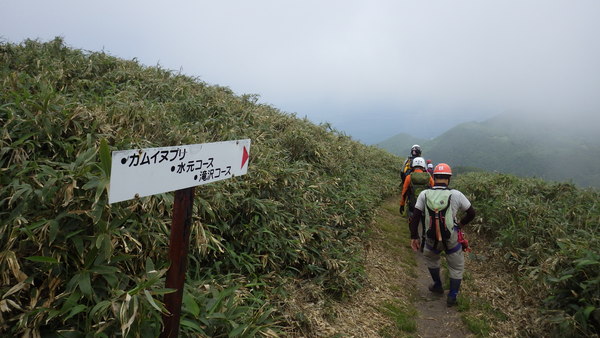 鷲別来馬川・裏沢～鷲別岳（通称・室蘭岳、911㍍）～滝沢=2013年６月２９日_a0141678_21467.jpg