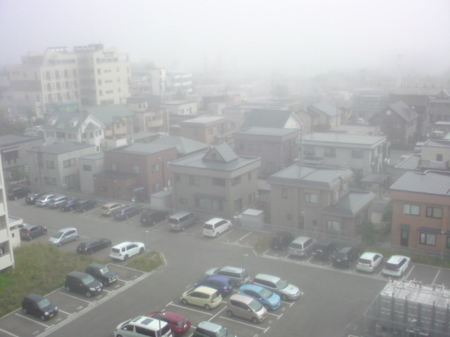 f0295680_8503598.jpg