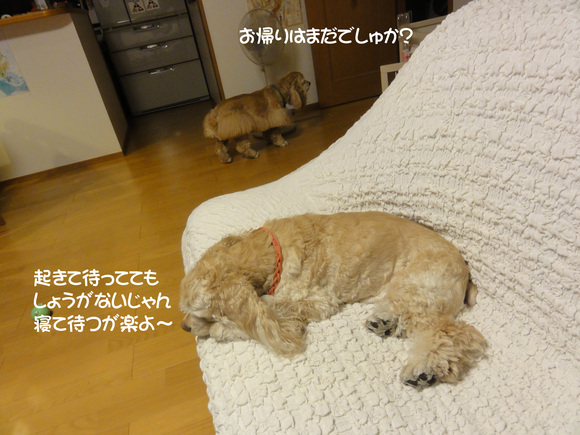 f0218182_1237698.jpg