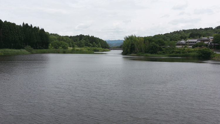 f0001993_18435576.gif