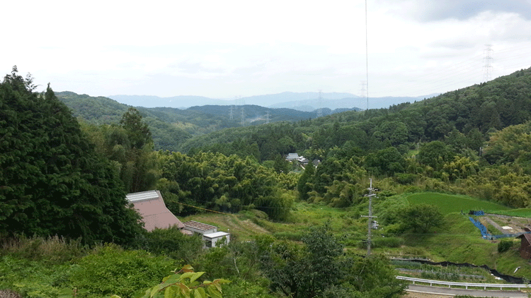 f0001993_18472720.gif