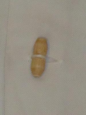 お知らせ＆新商品入荷情報　１_d0176398_220327.jpg