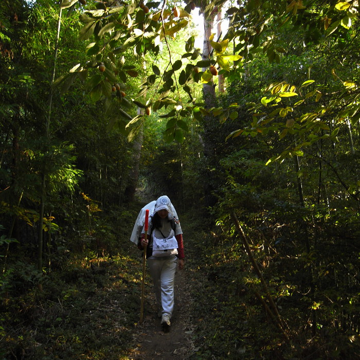 Memory of the second pilgrimage　1200km with husky HANA_c0049299_1655457.jpg