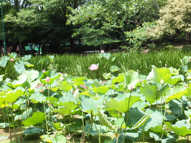 a0271502_13375027.jpg