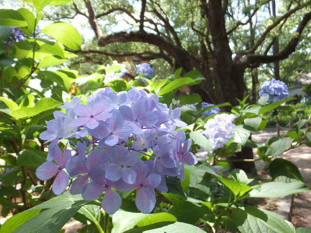 a0271502_13582324.jpg