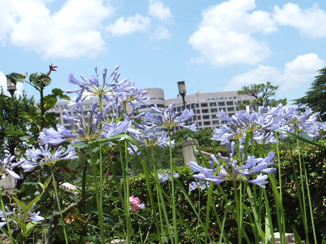 a0271502_13591979.jpg
