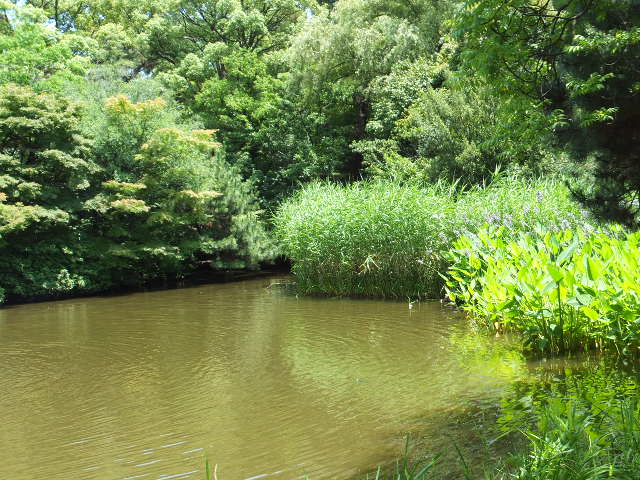a0271502_1463132.jpg